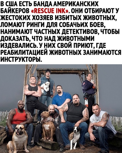 Подборка картинок 10.04.2023