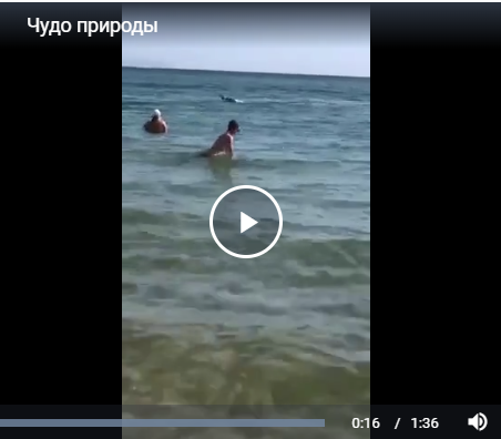 Чудо природы