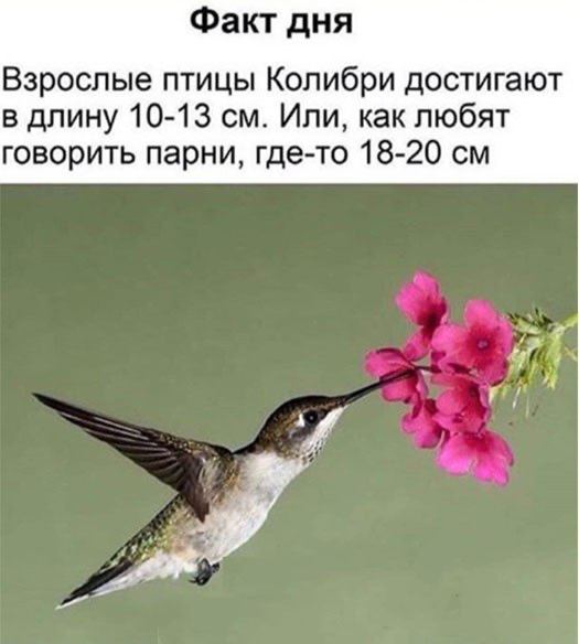 Немного мемчиков. Для взрослых. Часть 33