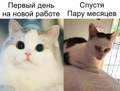 Картиночки, баянчики 06 марта