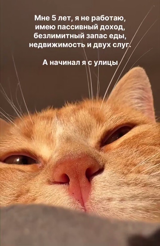 Субботние картинки