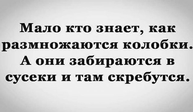 Картиночки, баянчики 25 июля