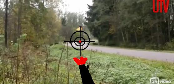 Не каждый день такое увидишь