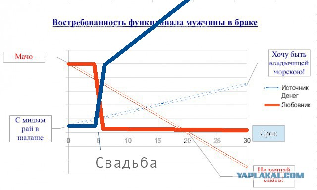 Востребованность функционала мужчины в браке