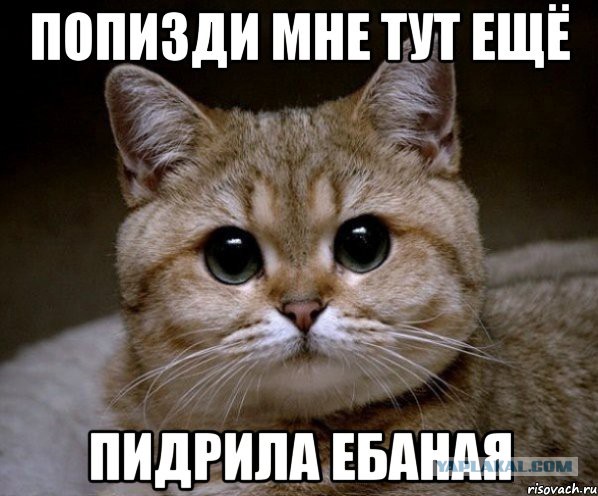 Ватник, наклейка на авто