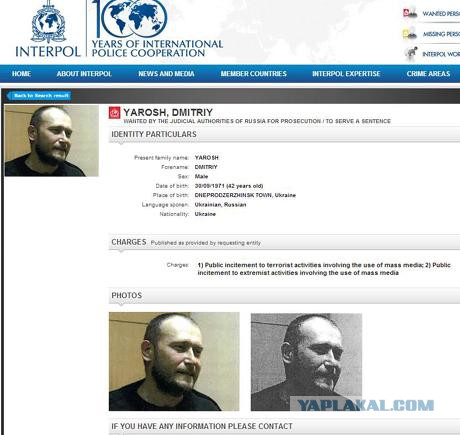 Интерпол объявил Яроша в розыск
