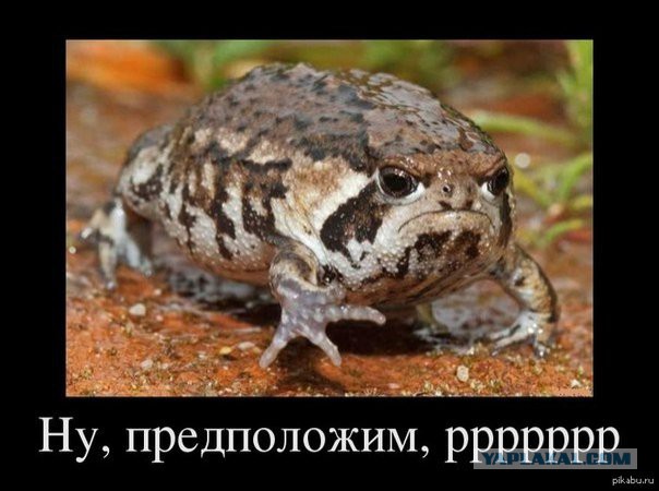 Допустим