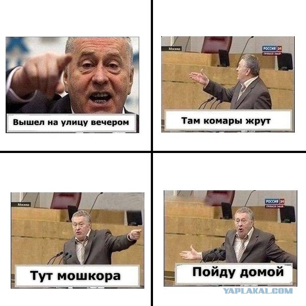 Приколы про жирика в картинках