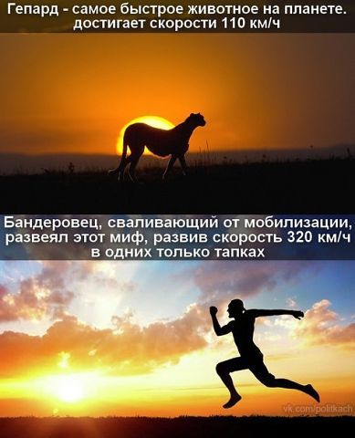 Письма из военкомата