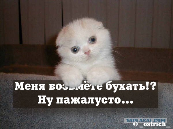 Позитив: Всех с пятницей!