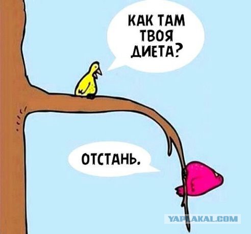 Эксперимент на месяц