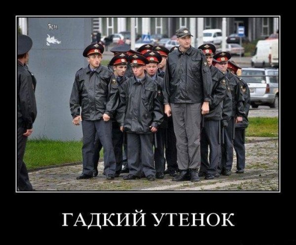 Веселые картинки