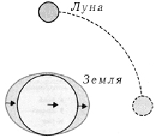 Мощный прилив — грандиозный отлив