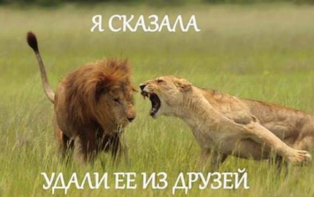 Немного юмора, заимствованного из сети