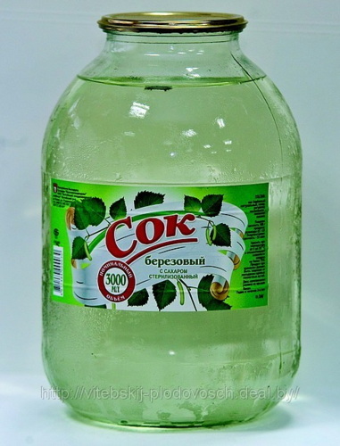 Сбор березового сока