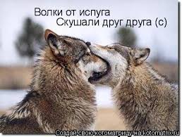 Гаишники и сотрудники ФСБ подрались в Москве после дорожного конфликта