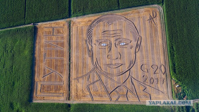 Итальянец создал гигантский портрет Путина с помощью трактора