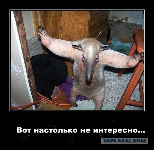 Начало? Перемога?