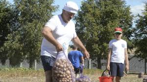 Зарядье. Абсурд.