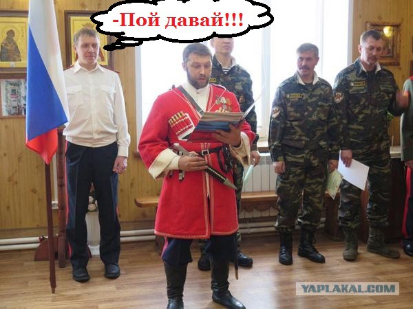 Что вы знаете о понтах?