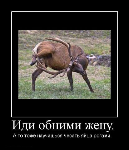 Нестандартный юмор