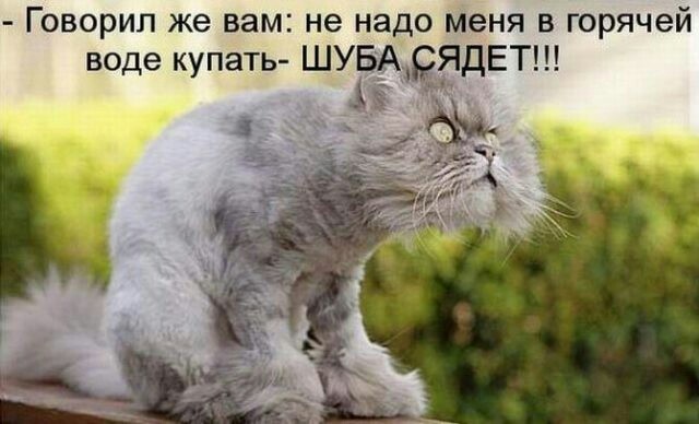 Картинки с надписями и без