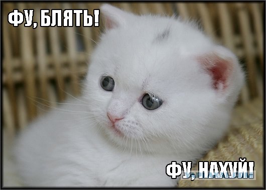 Австралийцы - курите "на здоровье