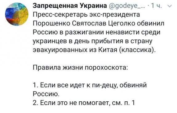 Сегодня мне стыдно за мою Украину...