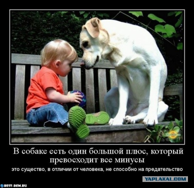 Этот взгляд
