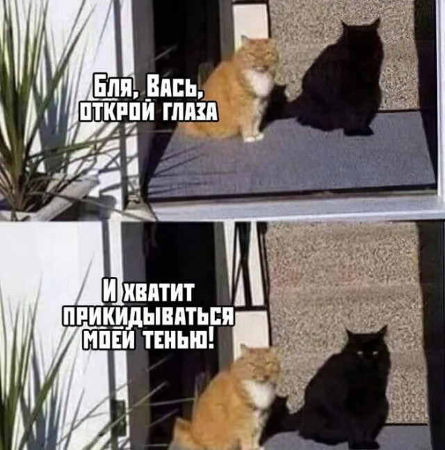 Бредзона 01.05.20