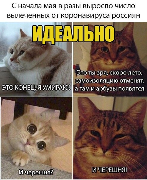 Картинки + буквы