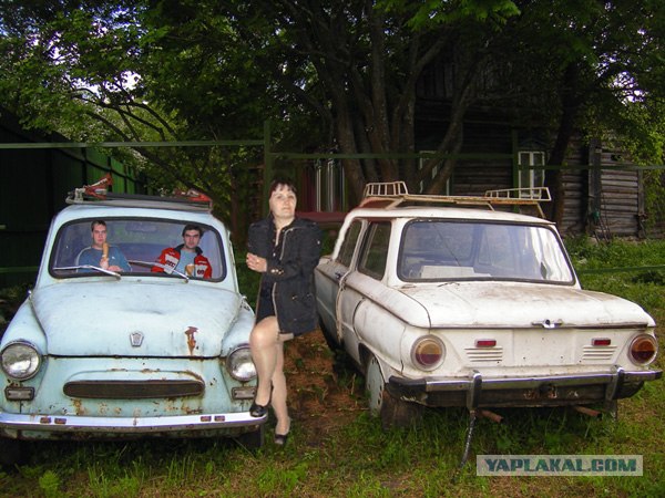 Увеличьте грудь, волоски на лобке. 10 фото