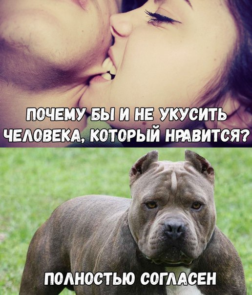 Весёлый полтишок 28.02
