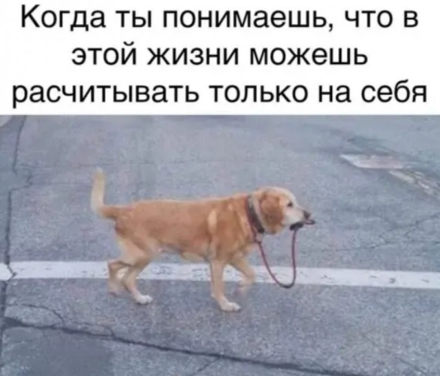 Картинки и мемы для настроения - 21