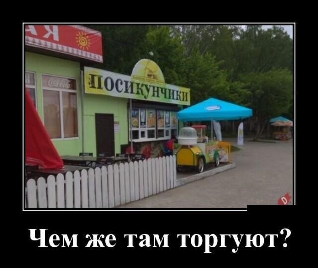Весёлый полтишок 16.07.23