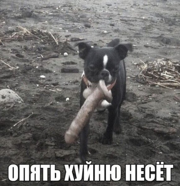Путин: контрнаступление ВСУ полностью провалилось