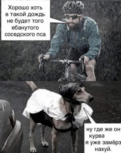 Картинки из Дристоля - 3