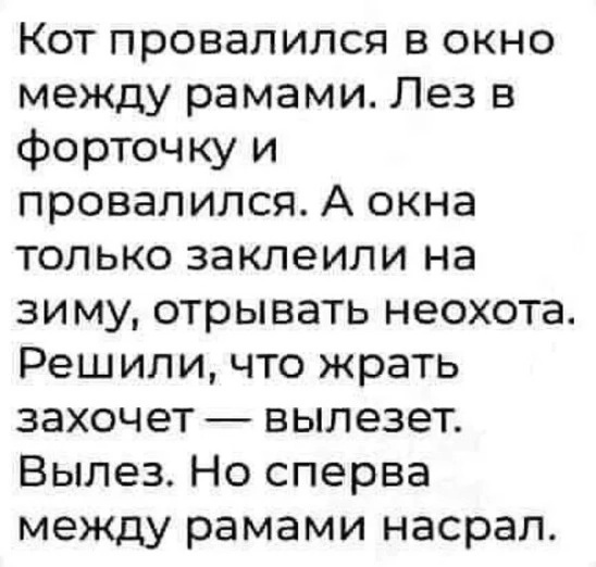 Так себе картинки 25.11.24