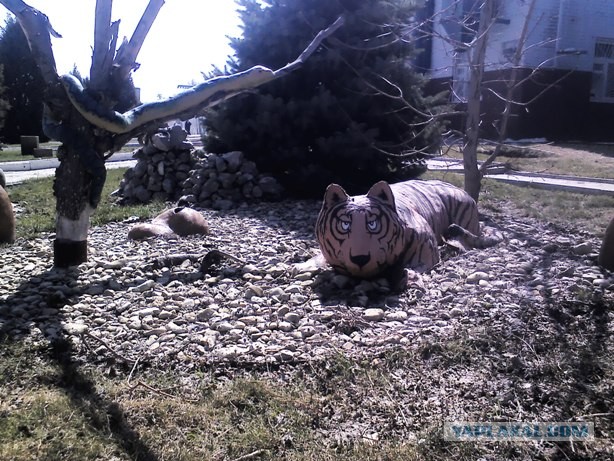 Увиденный мною позитив в Волгограде