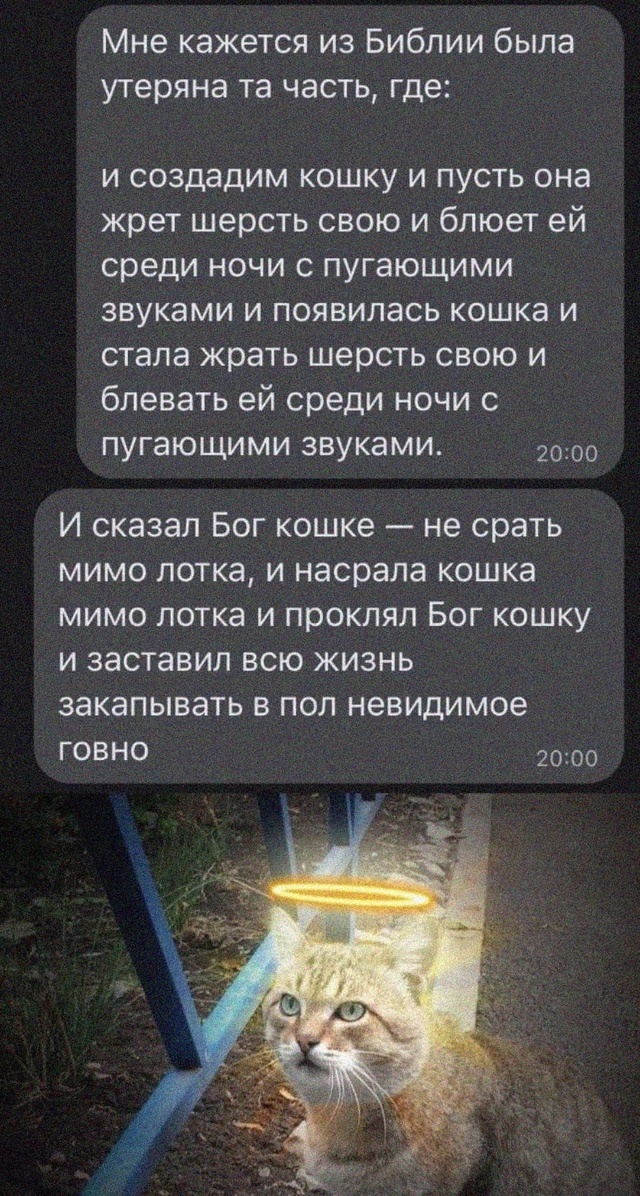 К котовторнику: подборка картинок-баянов с котиками и про котиков. Выпуск 10