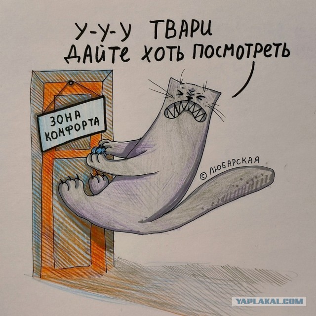 Картинки для деградации 74 (разной степени свежести)
