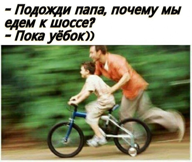 Веселые картинки в пятницу (12.12)