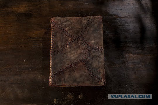 Черный волк