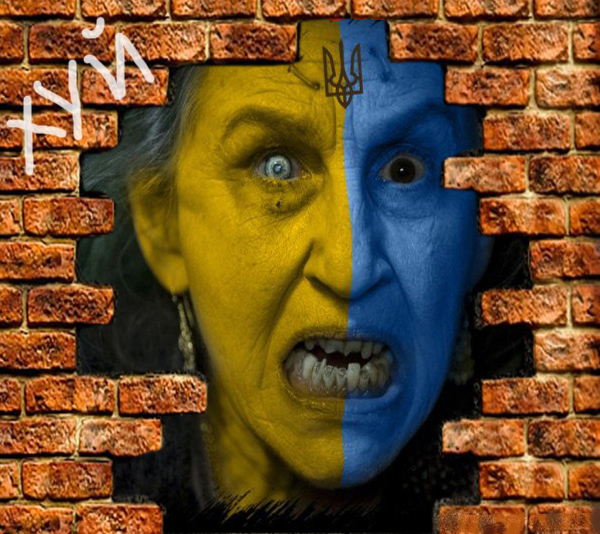 Немцы об украинской стене: Украина одурела!