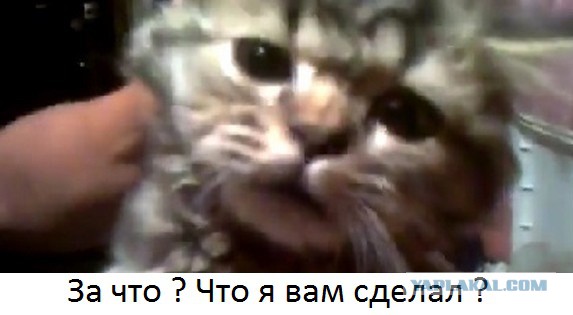 Тварь из Тверской области пожаловалась на травлю