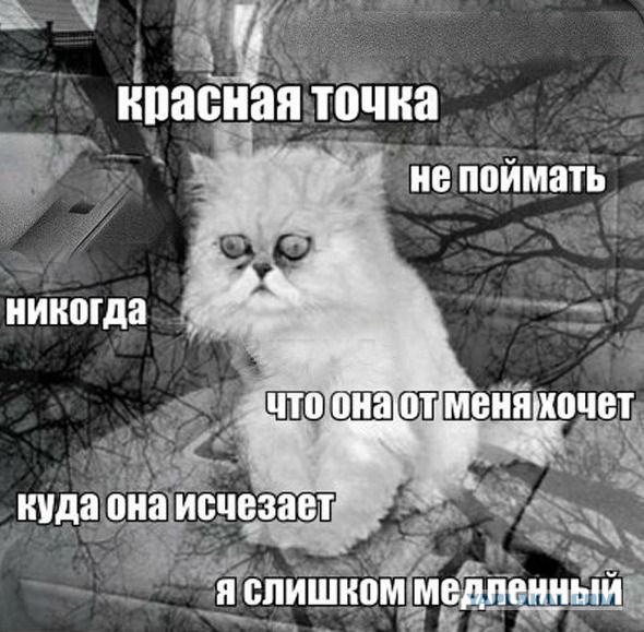 Всякая хренотень