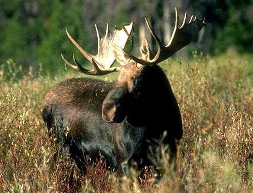 Самая большая в мире гора поваренной соли