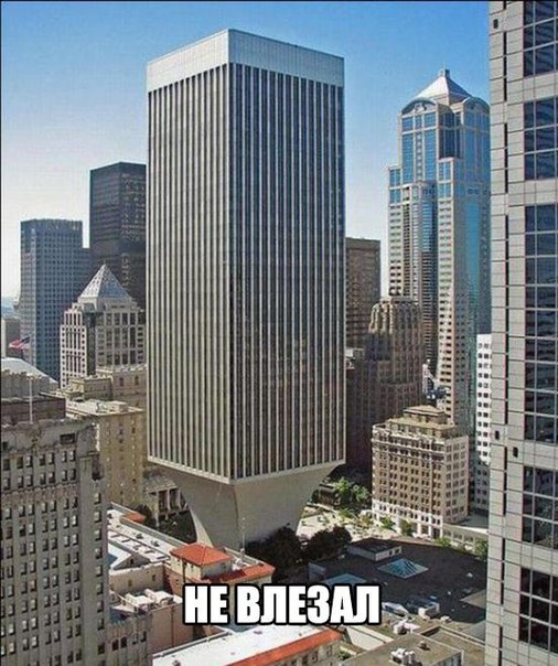 6918766.jpg