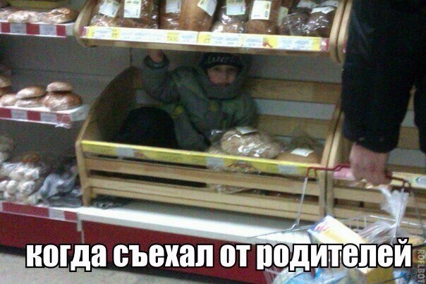 Подборка картинок из сети