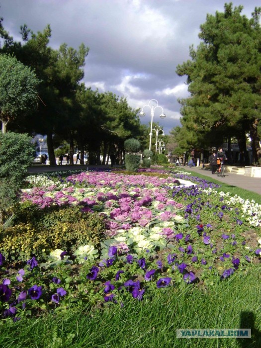 Вечерний Геленджик